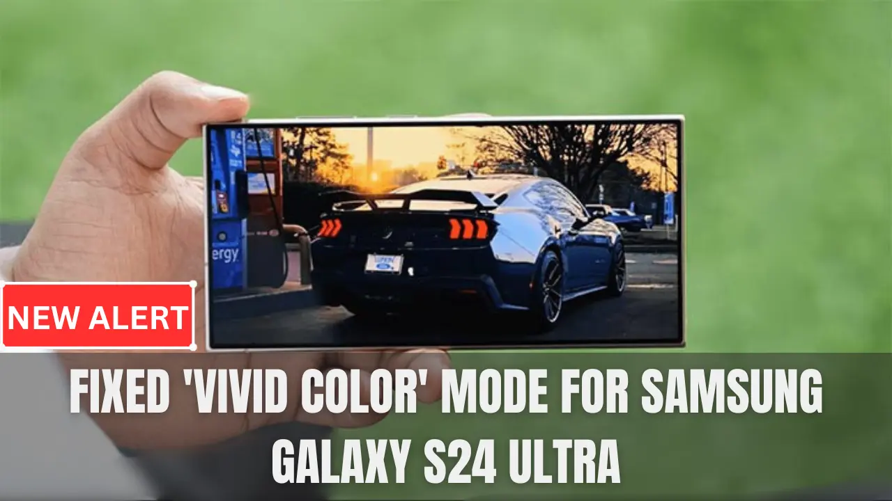 Fixed 'Vivid Color' Mode for Samsung Galaxy S24 Ultra